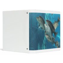 Under the sea 3 ring binders