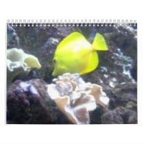 Under The Sea Calender calendars by FinePhotography Under The Sea Calender calendars