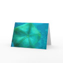 under the sea card