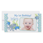 Under the Sea Critters Boy 1st Birthday Photo Card