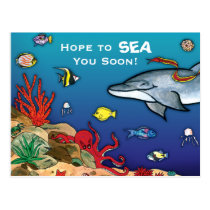 Under the Sea- Ocean Life Post Cards
