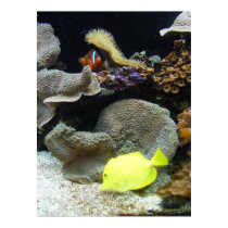 Under the Sea posters by SweetRascal Under the Sea posters