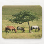 Under The Shade Mouse Mat