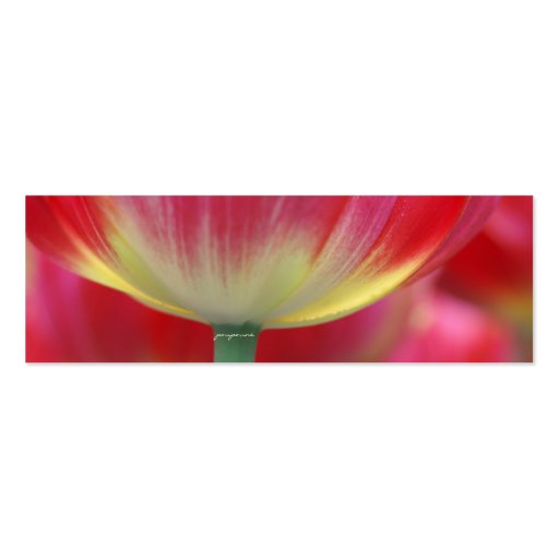 under the skirt of tulips business card templates