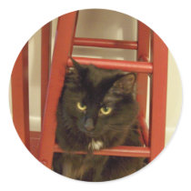 Under the stool Stickers