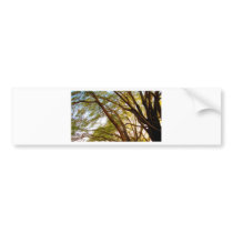 Under the Tree Bumper Sticker