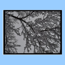 Under the Trees postcards