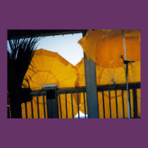 Under the Umbrella Sun posters