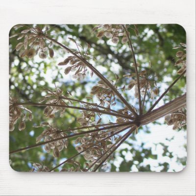 Under the Weeds Mouse Pads by idream10