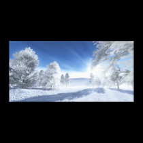 Under the Winter Sun Canvas Print canvas prints