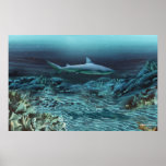 Under water 1 print
