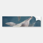 Under Water Beauties Bumper Stickers