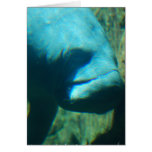 Under Water Manatee  Greeting Card