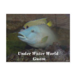 Under Water World Guam Postcard