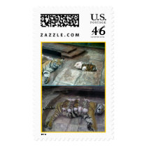 undercover pigs postage by Leanne1184 undercover pigs postage