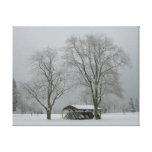 winter, snow, photography, cold, landscape,
