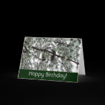 Underneath the Snow Covered Pine Birthday Card
