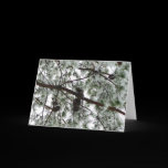 Underneath the Snow Covered Pine Card