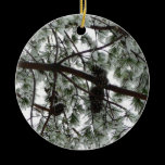 Underneath the Snow Covered Pine Ornament