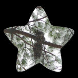 Underneath the Snow Covered Pine Star Sticker