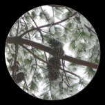 Underneath the Snow Covered Pine Sticker