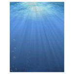 Undersea flyers