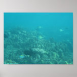Undersea Maui Poster Undersea Maui Poster