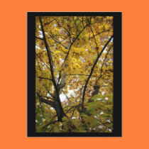 Underside of Yellow Leaves in Fall Mini Print postcards