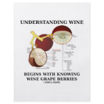 Understanding Wine Begins With Knowing Wine Grape Full Color Flyer