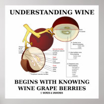 Understanding Wine Begins With Knowing Wine Grape Poster