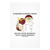 Understanding Wine Begins With Knowing Wine Grape Stationery