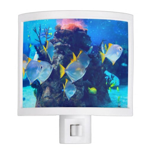 Underwater 13 night light