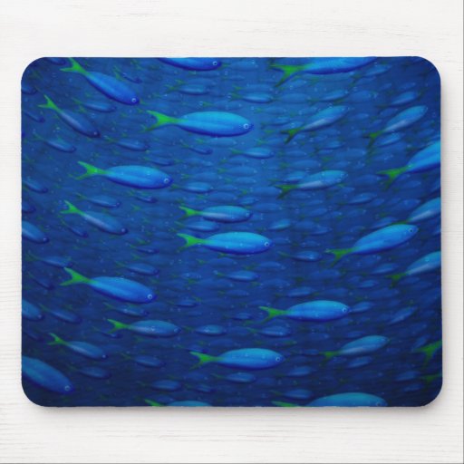 Underwater 4 mouse mats