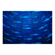 Underwater 4 posters by vladstudio Underwater 4 posters