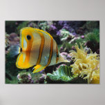 Underwater Adventure Print