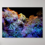 Underwater Adventure Print