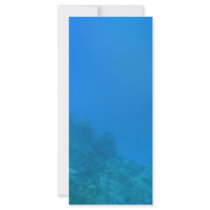 Underwater Background Scene Custom Rack Card