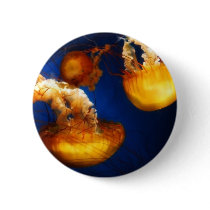 Underwater Ballet Button