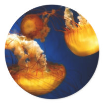 Underwater Ballet Sticker