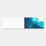 Underwater Beluga Whale Bumper Sticker