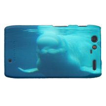 Underwater Beluga Whale Motorola Droid RAZR Cases