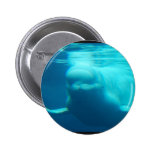 Underwater Beluga Whale Pins