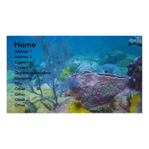 Underwater Business Card (front side)