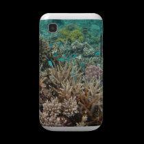 Underwater casemate cases