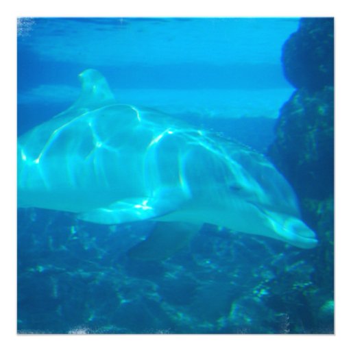 Underwater Dolphin Invitations