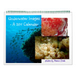 Underwater Image Calendar - 2010