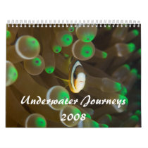 Underwater Journeys 2008 calendars