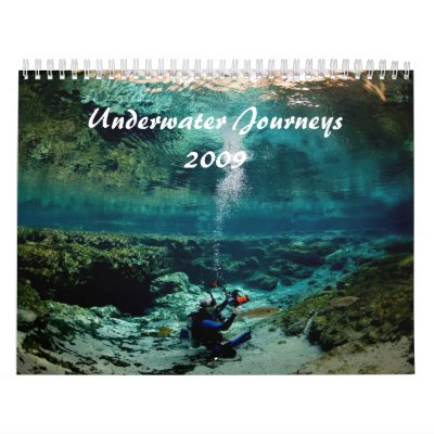 Underwater Journeys 2009 Edition Wall Calendars by carolyin