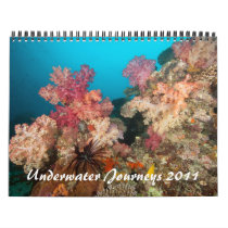 Underwater Journeys 2011 Wall Calendars