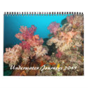 Underwater Journeys 2011 calendars